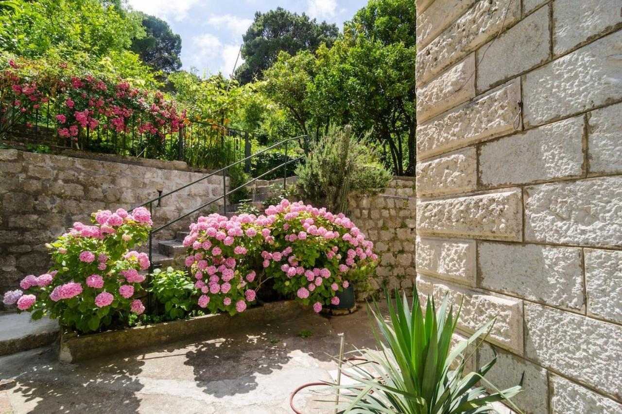 Apartment Djivo Ντουμπρόβνικ Εξωτερικό φωτογραφία